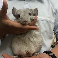 用香港服务器违法吗